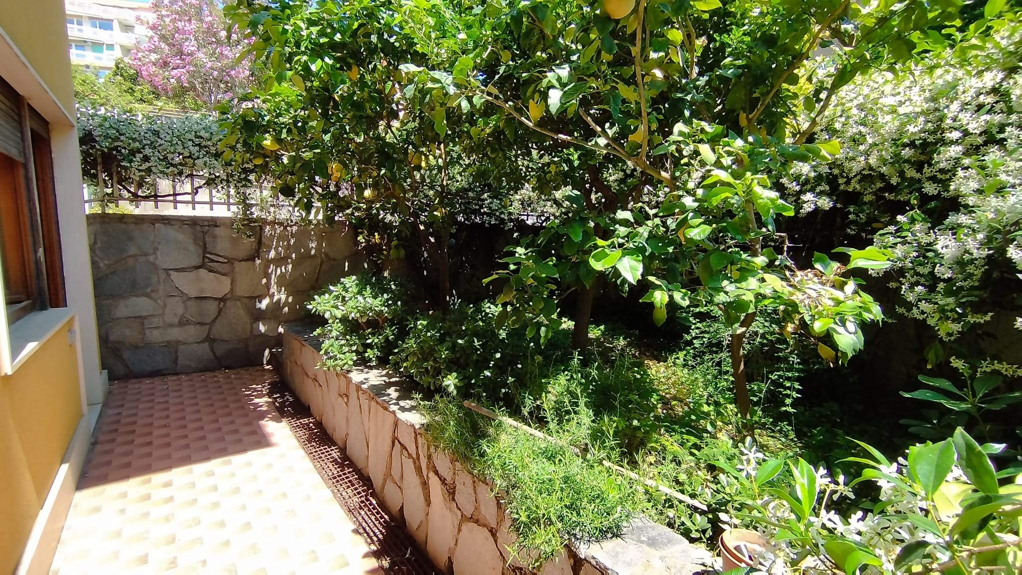 Sanremo, zona Foce, Grazioso Bilocale con Giardino Privato e Box auto
