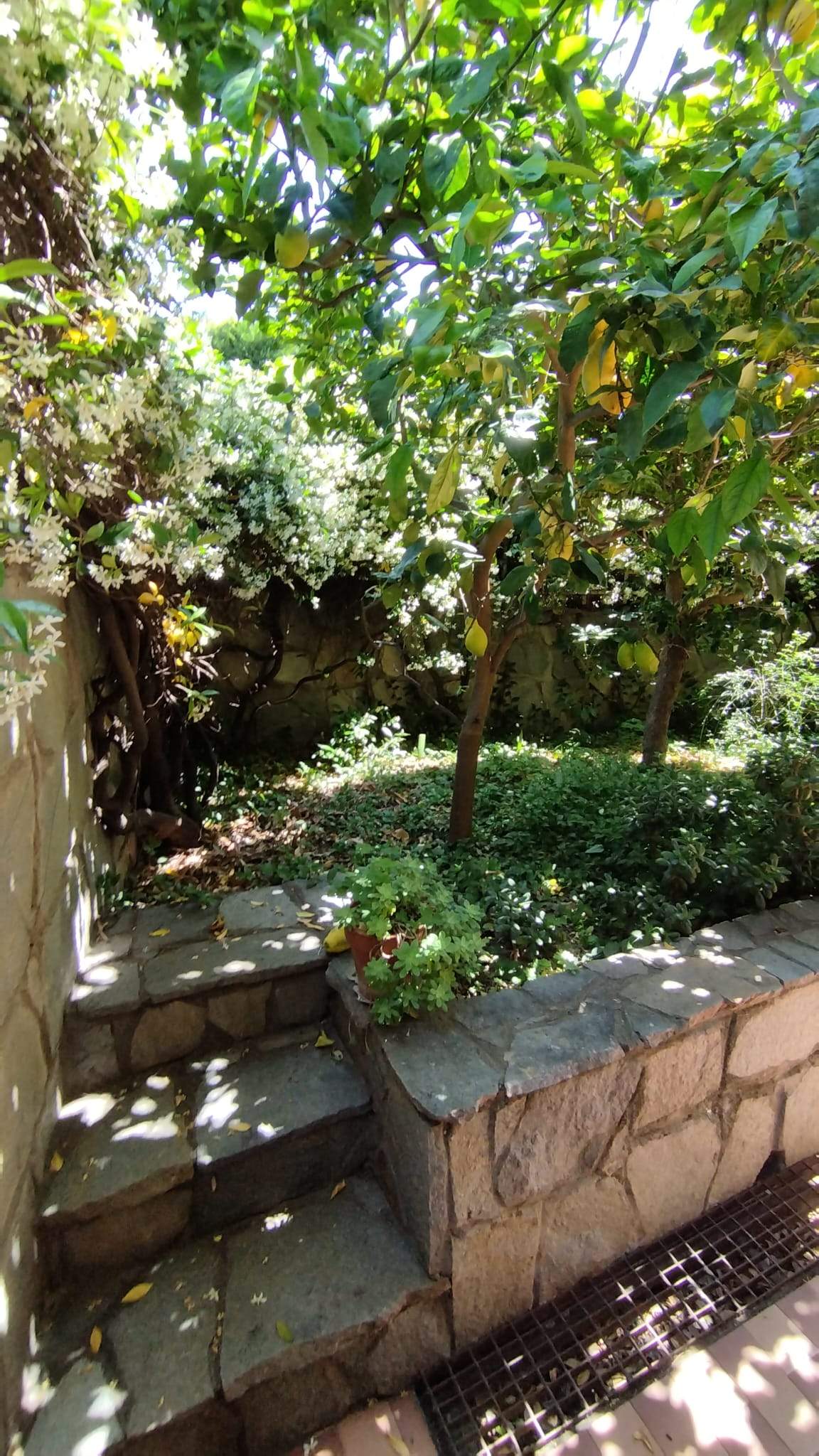 Sanremo, zona Foce, Grazioso Bilocale con Giardino Privato e Box auto