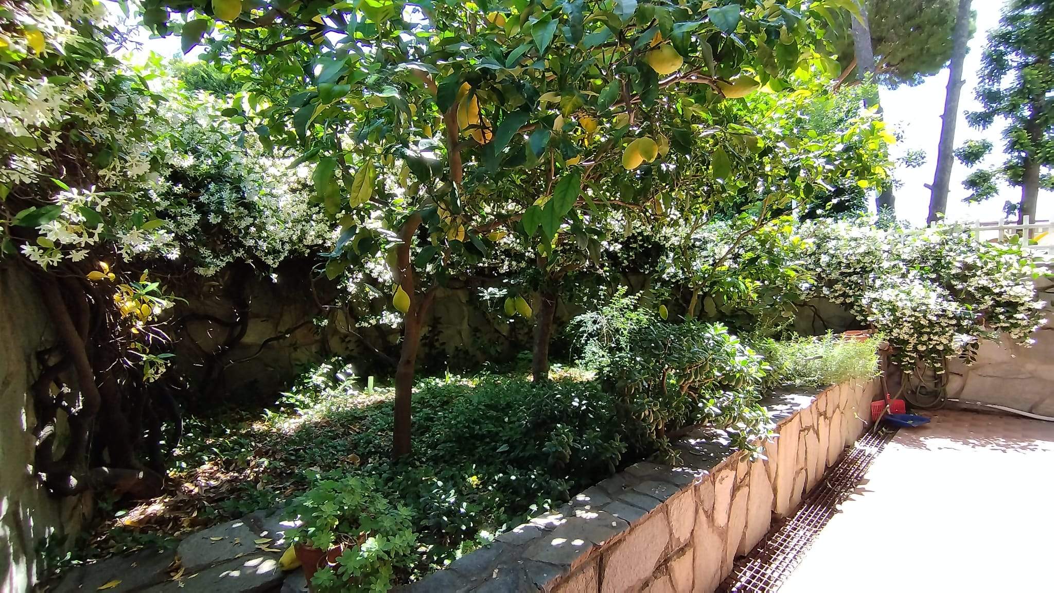 Sanremo, zona Foce, Grazioso Bilocale con Giardino Privato e Box auto