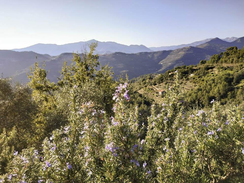 Luvaira, vallata di San Biagio della Cima, terreno di 7.900mq con fabbricato rurale di 90mq