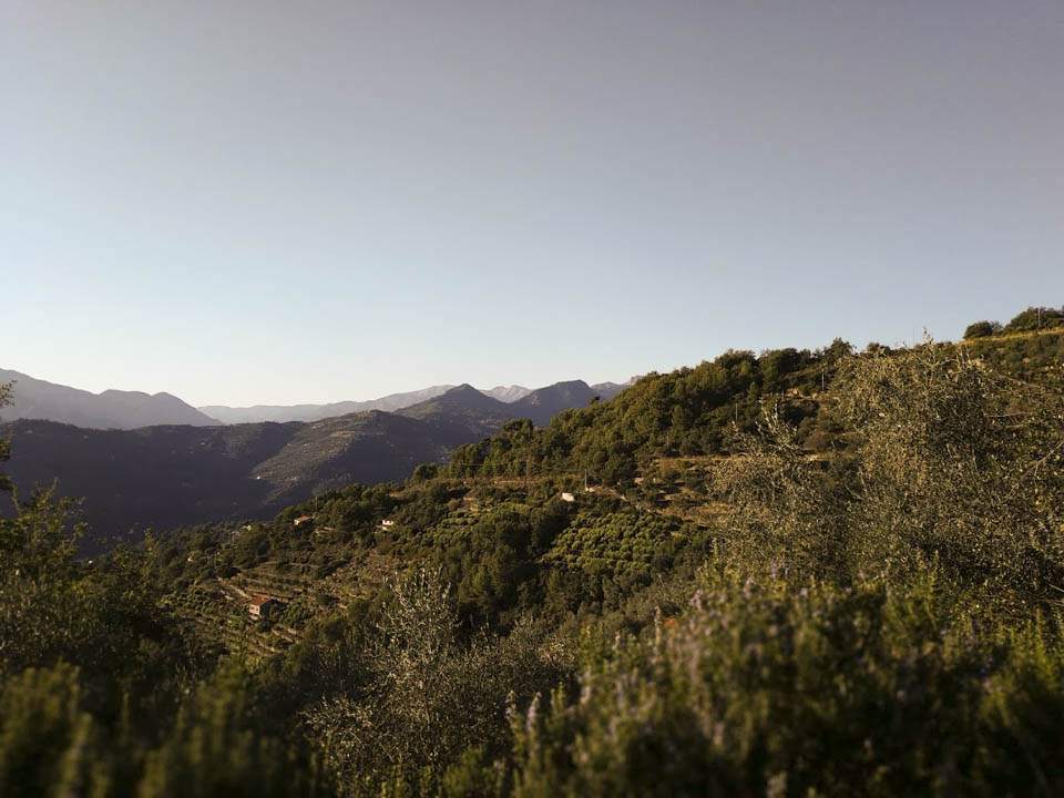 Luvaira, vallata di San Biagio della Cima, terreno di 7.900mq con fabbricato rurale di 90mq