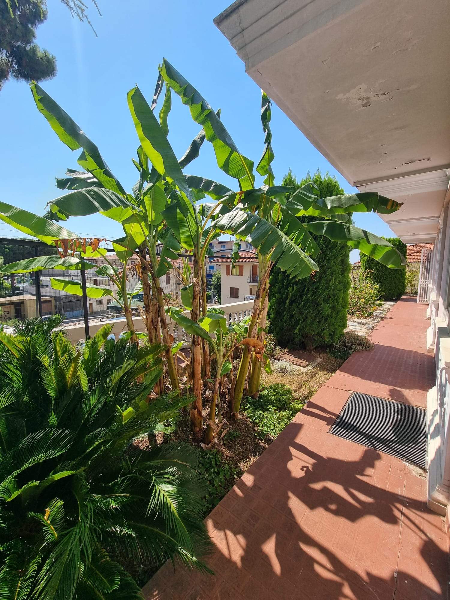 Ospedaletti, zona centrale, Appartamento 211 m² con giardino, box e cantina