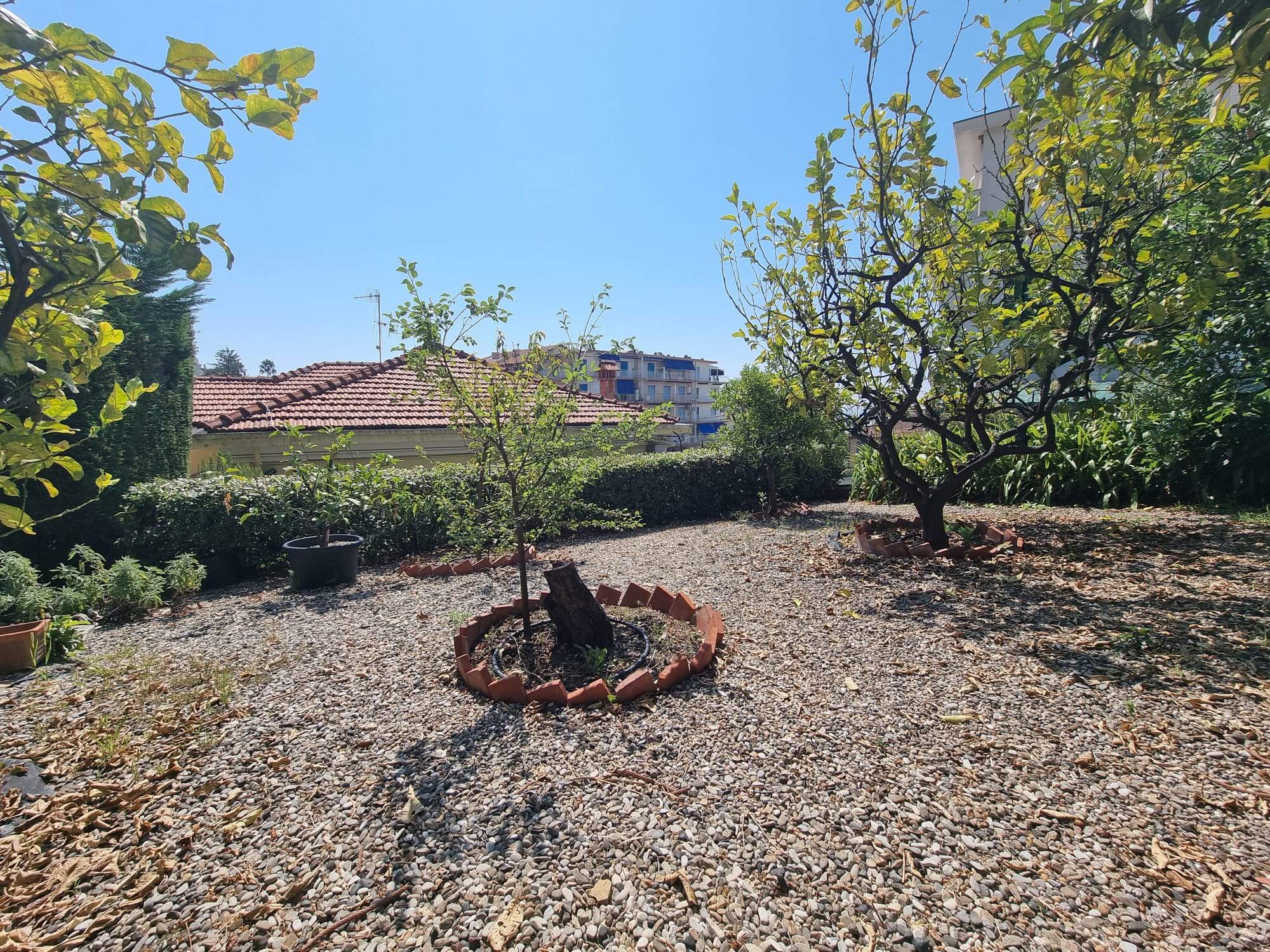Ospedaletti, zona centrale, Appartamento 211 m² con giardino, box e cantina