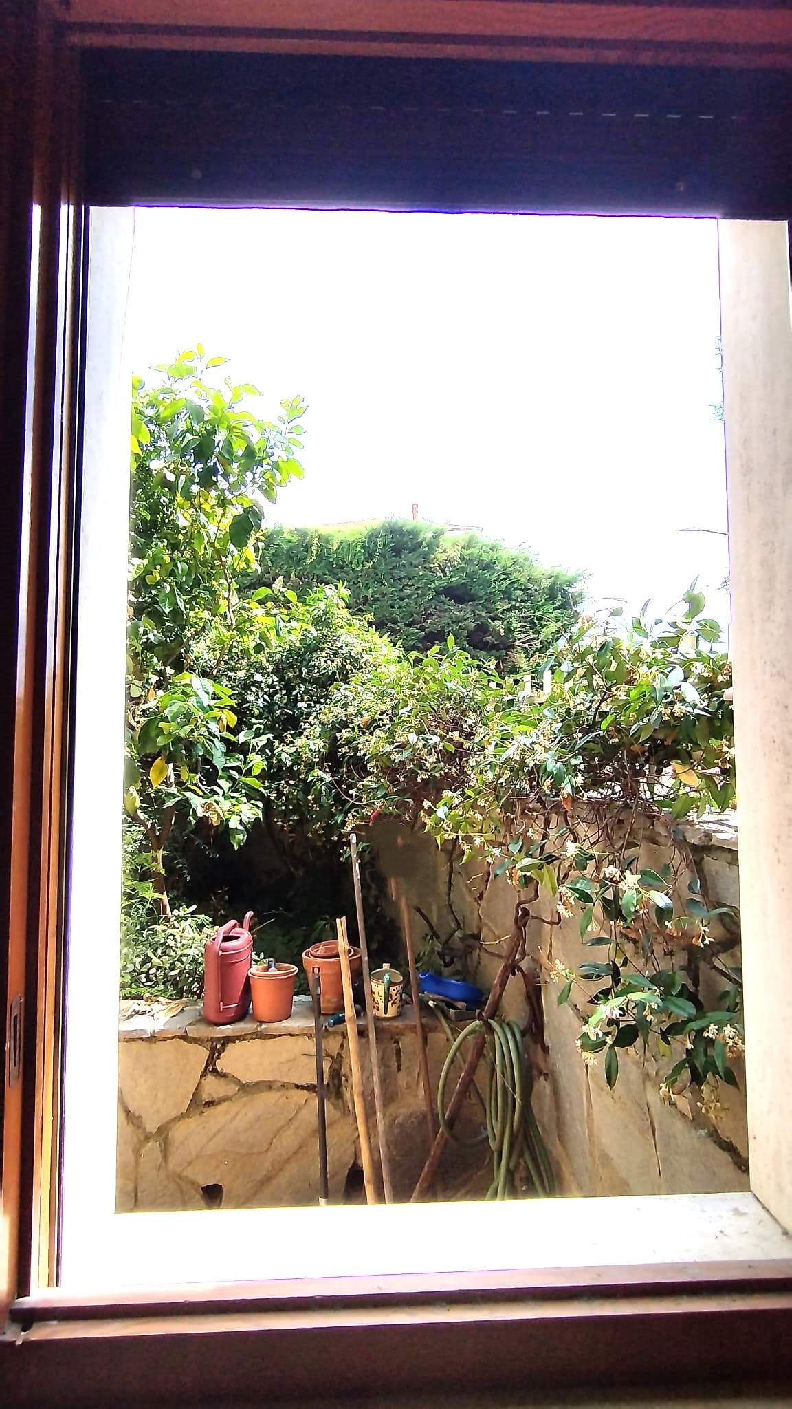 Sanremo, zona Foce, Grazioso Bilocale con Giardino Privato e Box auto