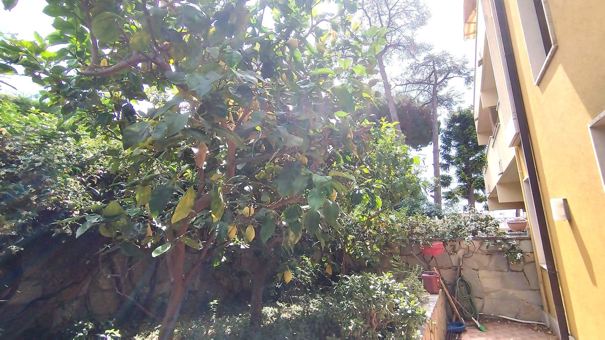 Sanremo, zona Foce, Grazioso Bilocale con Giardino Privato e Box auto