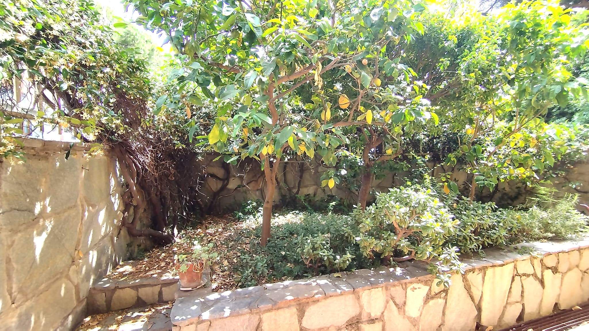 Sanremo, zona Foce, Grazioso Bilocale con Giardino Privato e Box auto