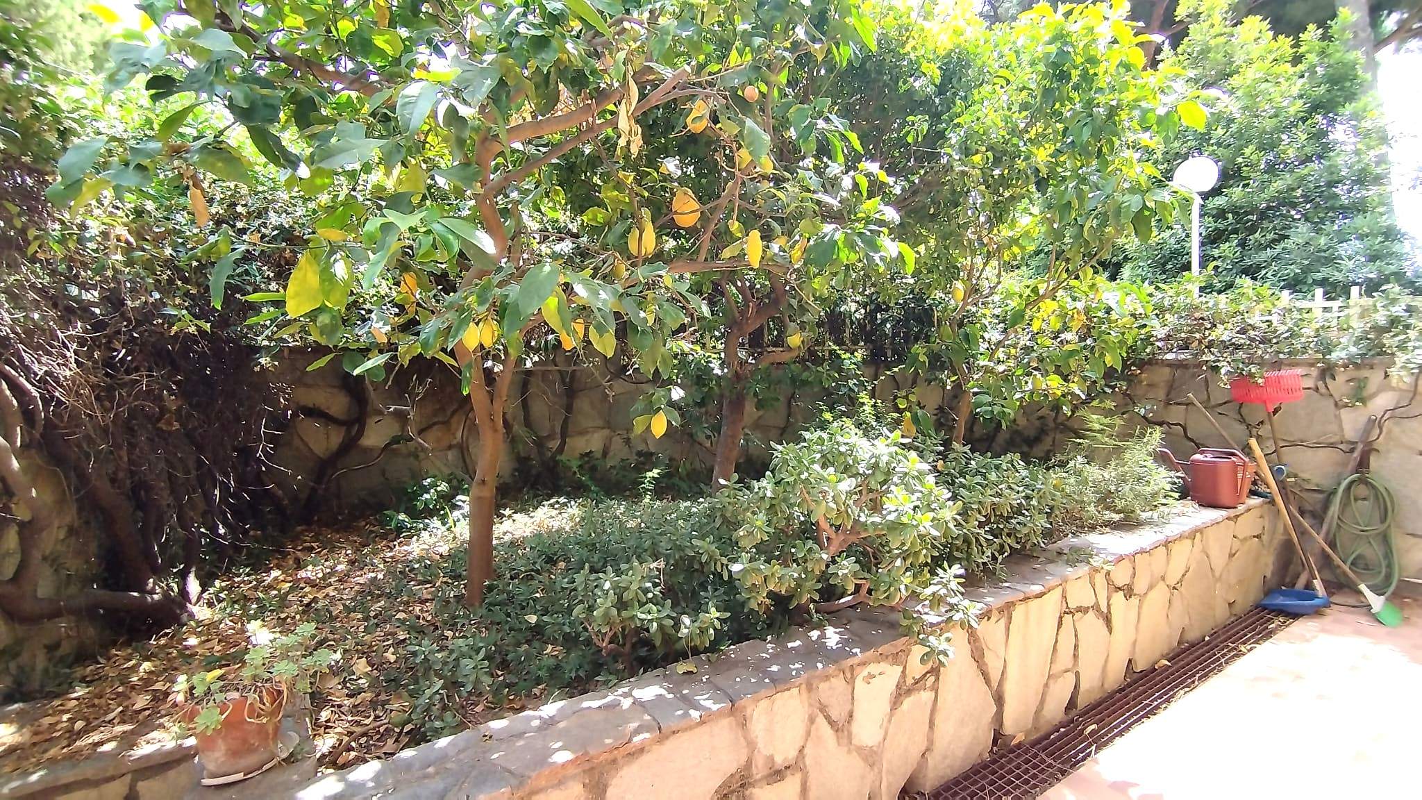 Sanremo, zona Foce, Grazioso Bilocale con Giardino Privato e Box auto
